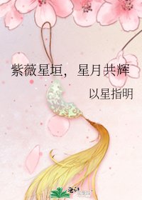 《紫薇星垣,星月共辉》
