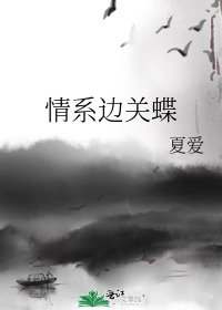 《情繫邊關蝶》
