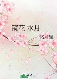 《鏡花 水月》