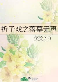 《折子戏之落幕无声》