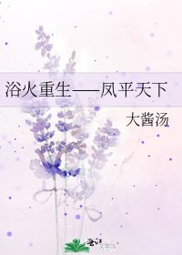 《浴火重生——凤平天下》