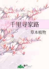 《千里寻家路》