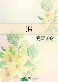 《追》