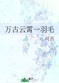 《万古云霄一羽毛》