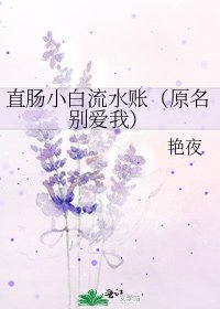 直肠小白流水账（原名别爱我）