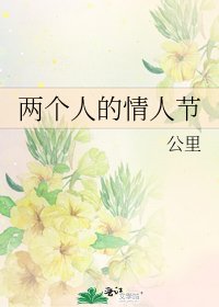 《两个人的情人节》