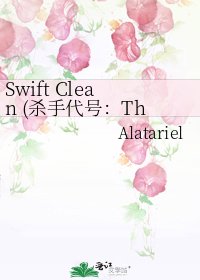 Swift Clean (杀手代号：The Cleaner)