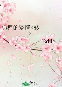 《狐狸的爱情》