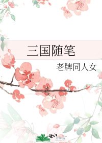 三国随笔