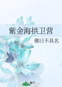 《紫金海拱衛營》