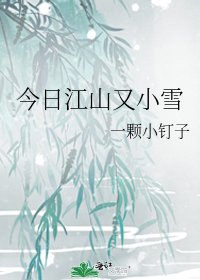 《今日江山又小雪》