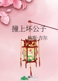 《撞上坏公子》