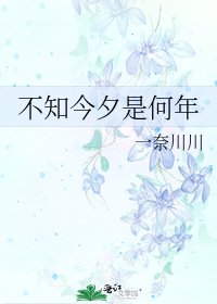 《不知今夕是何年》