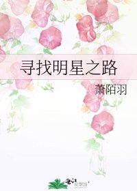 《寻找明星之路》