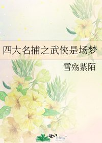 《四大名捕之武俠是場夢》