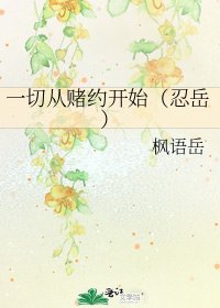 《一切从赌约开始(忍岳)》