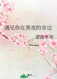《遇见你在黑夜的旁边》