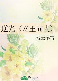 逆光(網王同人)