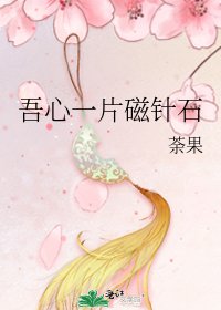 《吾心一片磁针石》
