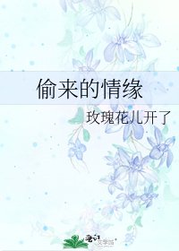 《偷來的情緣》