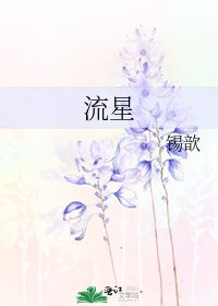 《流星》