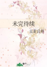 《未完待续》