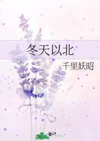 《冬天以北》