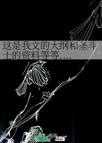 《这是我文的大纲和圣斗士的资料等等.........》