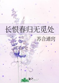 长恨春归无觅处