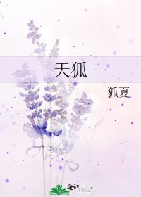 《天狐》