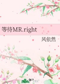 《等待MR.right》