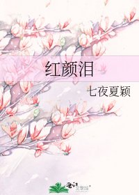 《红颜泪》