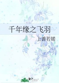 《千年缘之飞羽》
