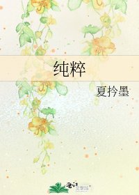 《纯粹》