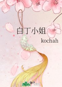 《白丁小姐》