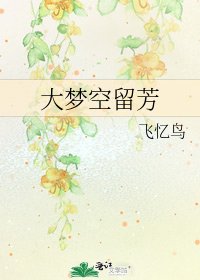 《大梦空留芳》