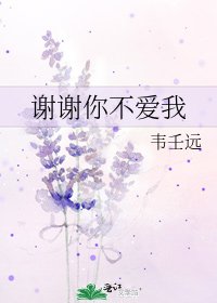 《謝謝你不愛我》
