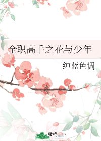 《全职高手之花与少年》