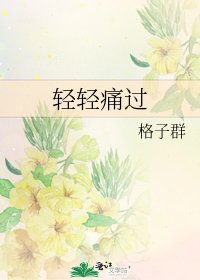 《轻轻痛过》