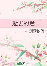 《逝去的爱》