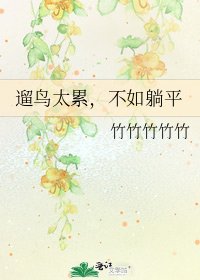 遛扮太累,不如躺平