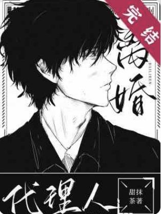 《离婚代理人》