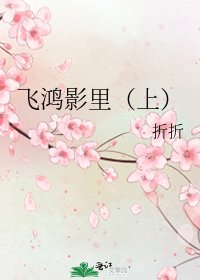 《飞鸿影里(上)》