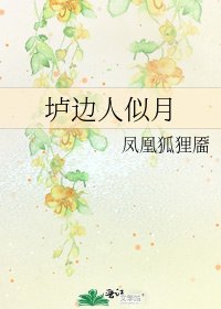 《垆边人似月》