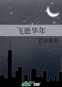 《飞逝华年》