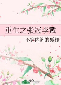 《重生之張冠李戴》
