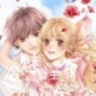《淘气公主捡来的王子是傻瓜》