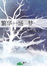 繁华一场 梦