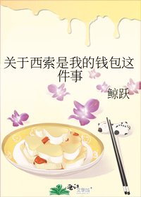 关于西索是我的钱包这件事