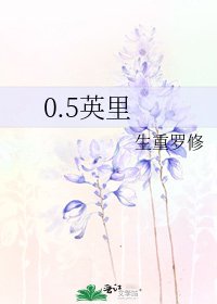 《0.5英里》